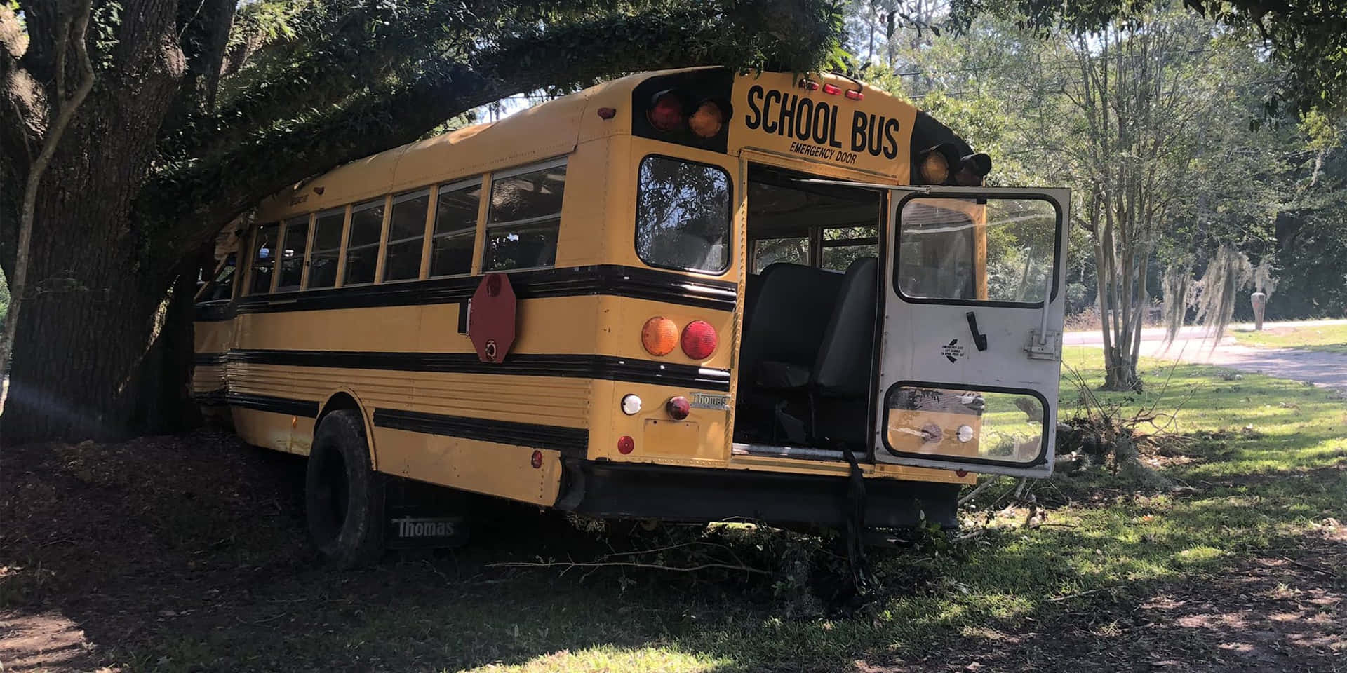 School Bus Accident Bumping Tree Wallpaper