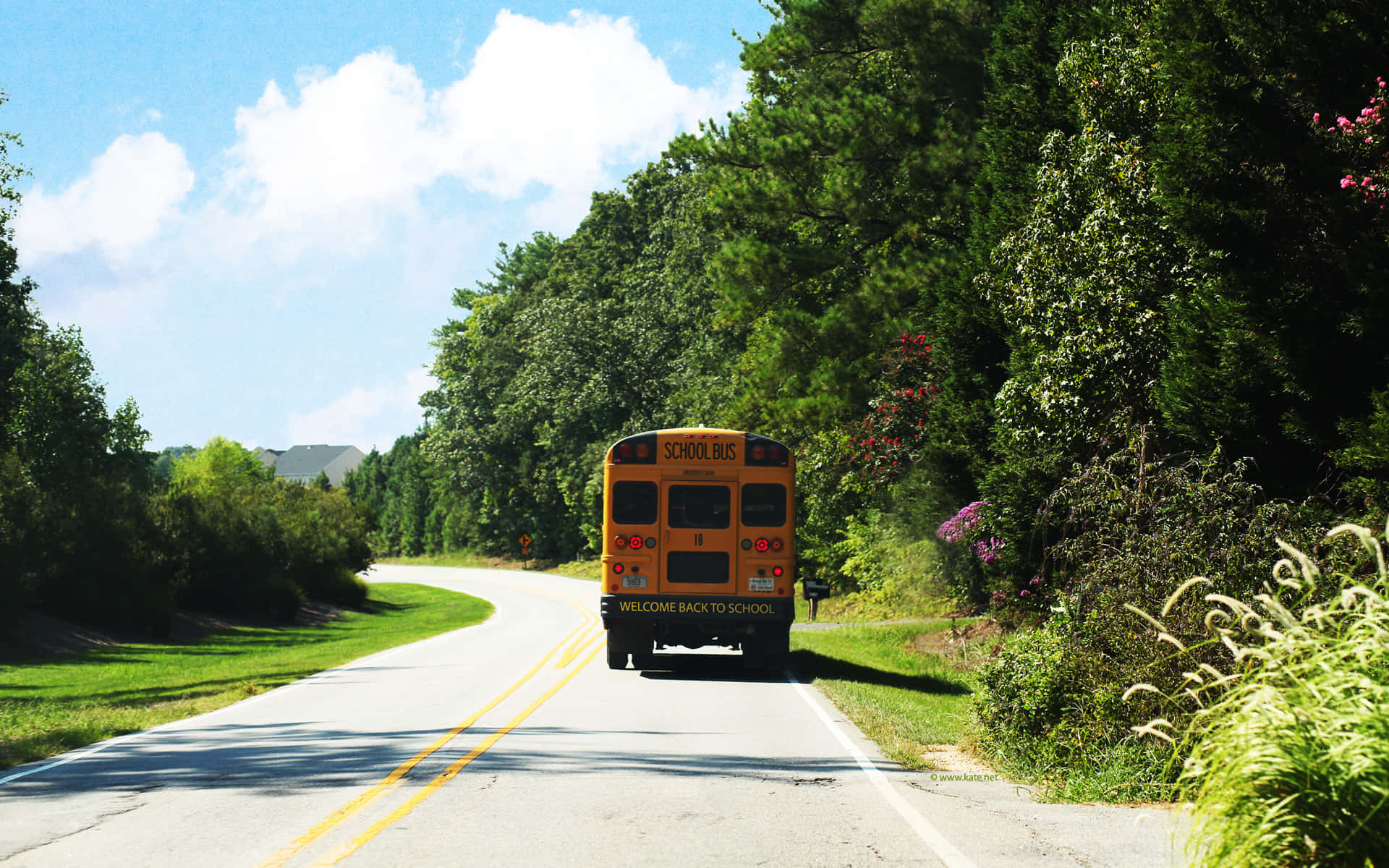 School Bus Traveling On Road Back View Background