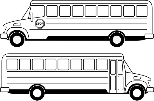 School Bus Vector Illustration PNG