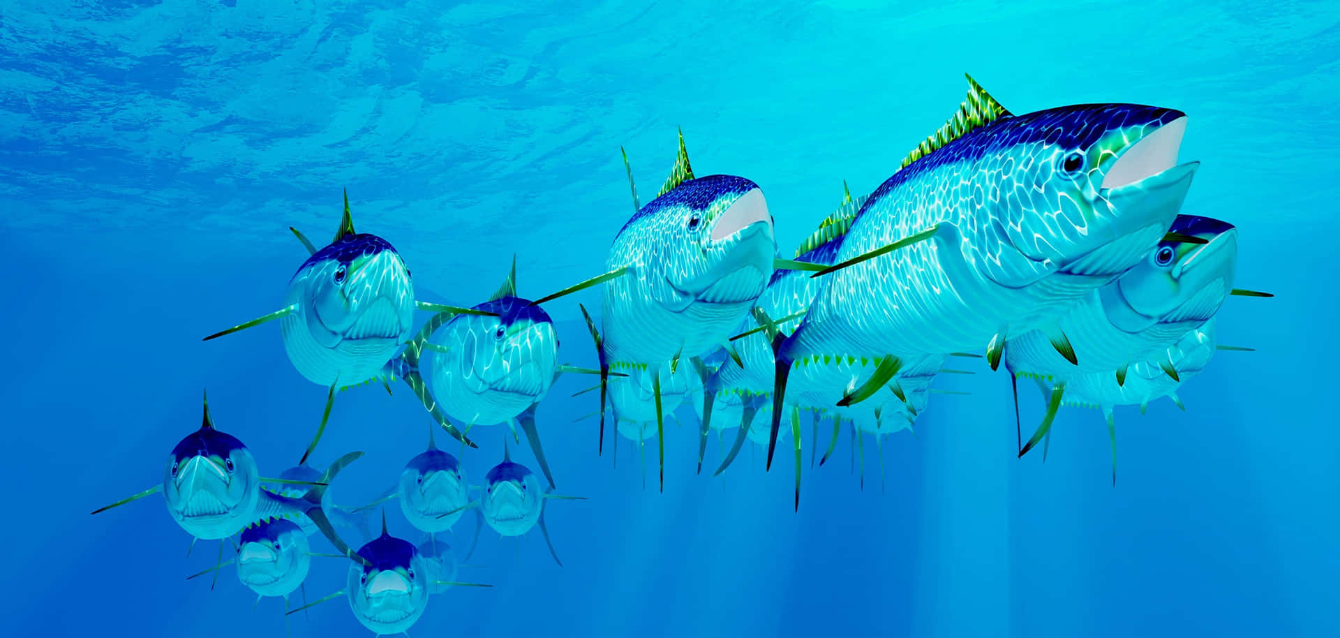 Schoolof Yellowfin Tuna Underwater Wallpaper