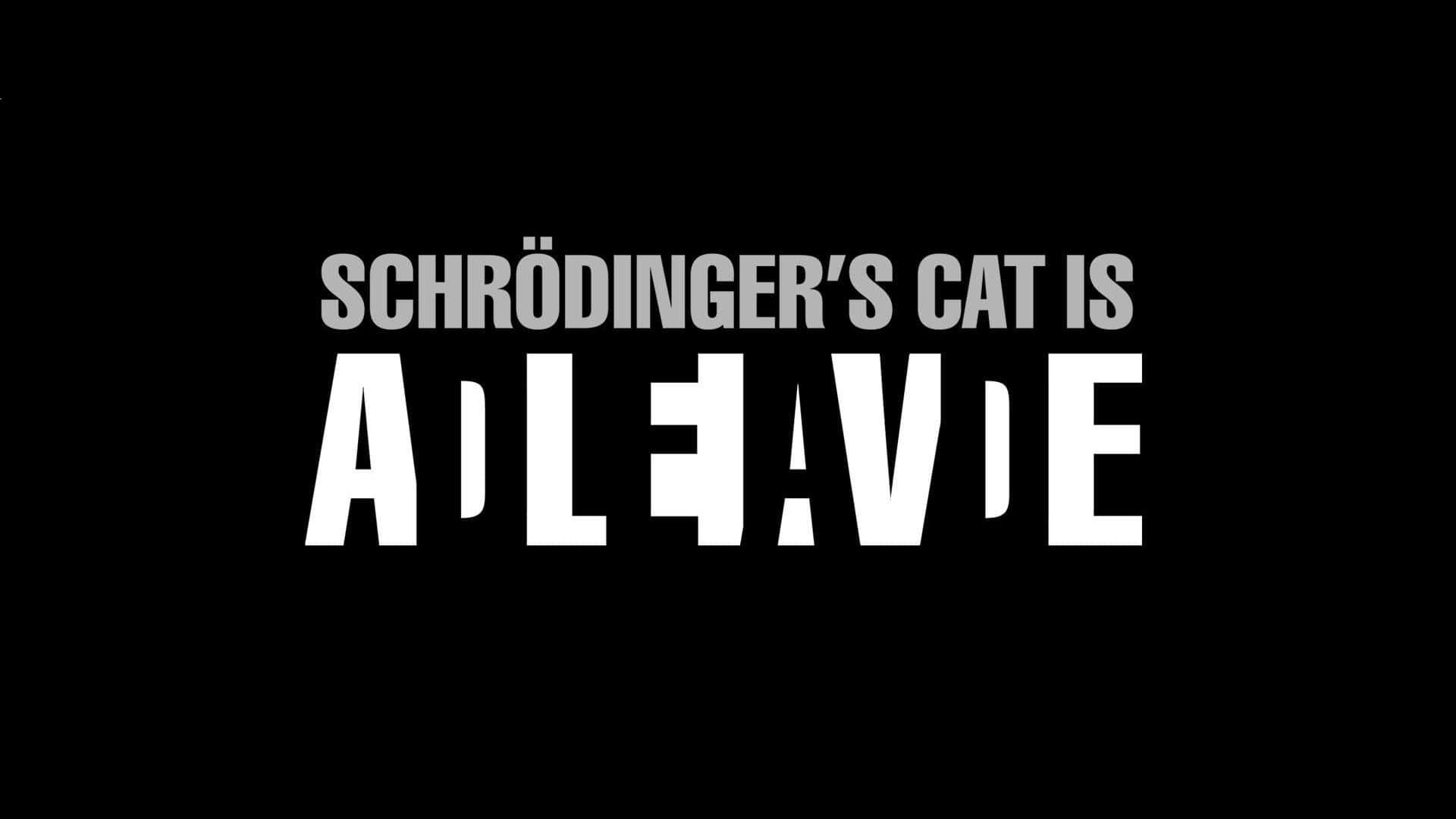 Schrodingers Cat Alive Dead Paradox Wallpaper