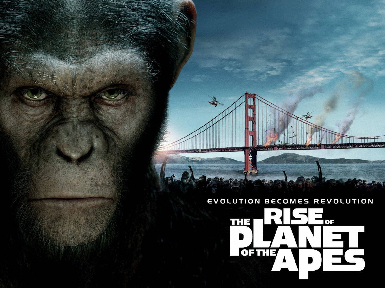 Sci-fi Action Film Stigningen Af Planet Of The Apes Kilde Wallpaper Wallpaper