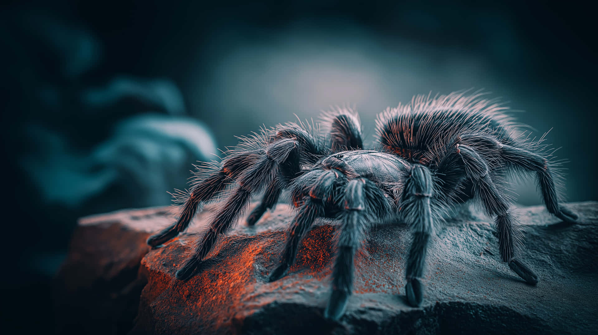 Sci-fi Style Tarantula On Rock With Mysterious Aura Wallpaper