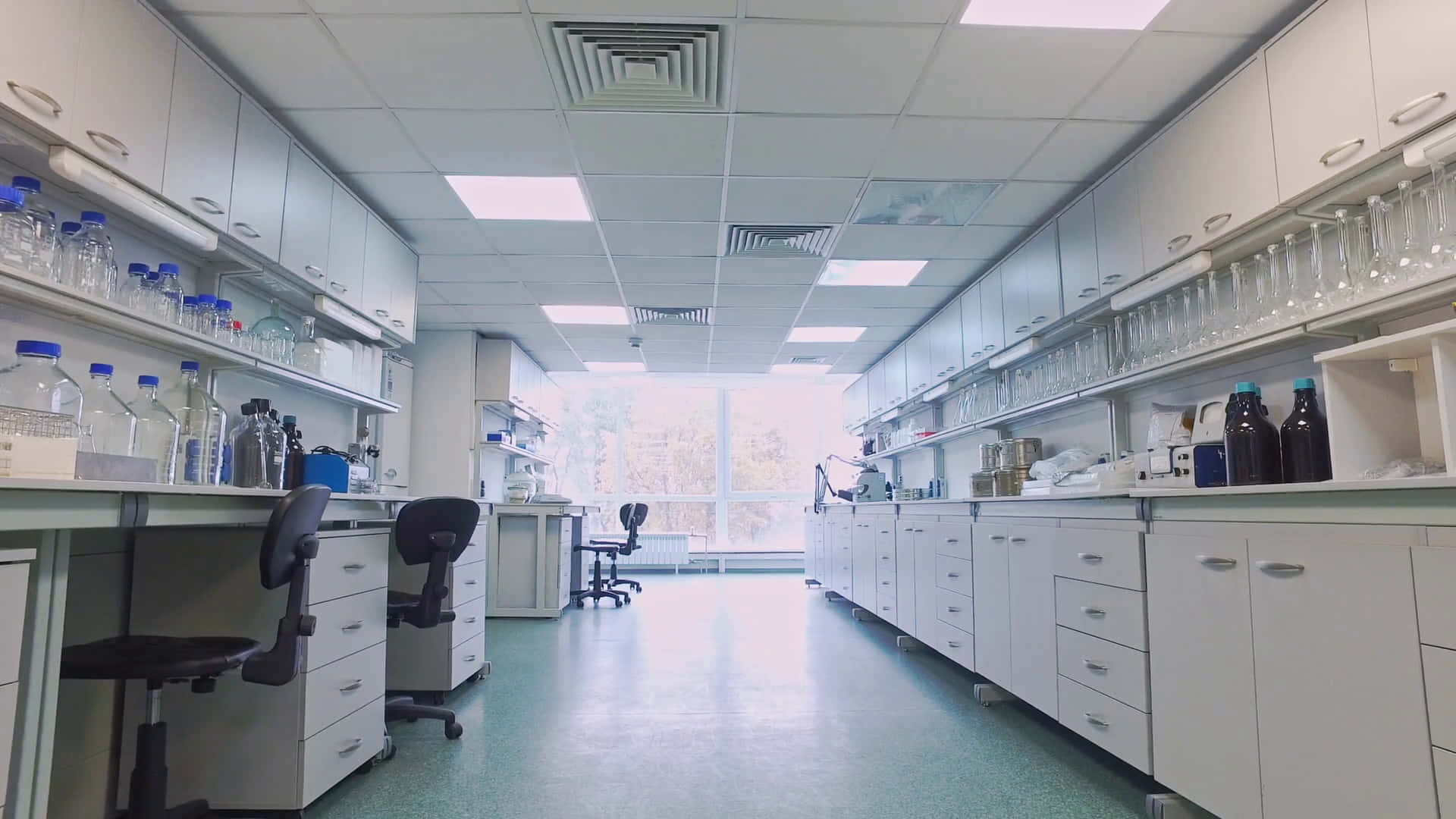 A Laboratory With Many Shelves And Cabinets