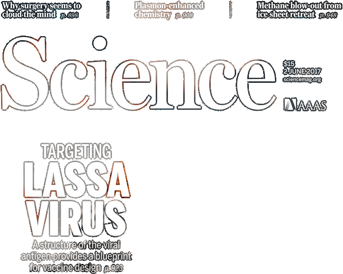 Science Magazine Cover Targeting Lassa Virus PNG