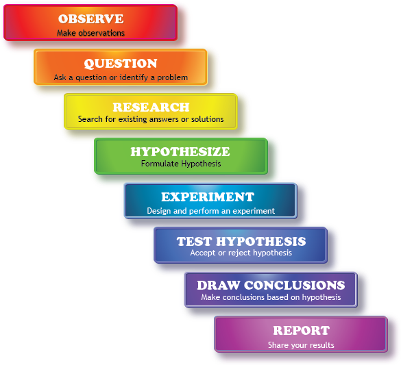 Scientific Method Steps Infographic PNG