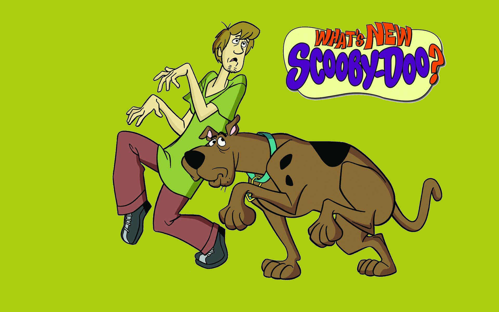 Scooby Doo and the gang solve a new mystery!