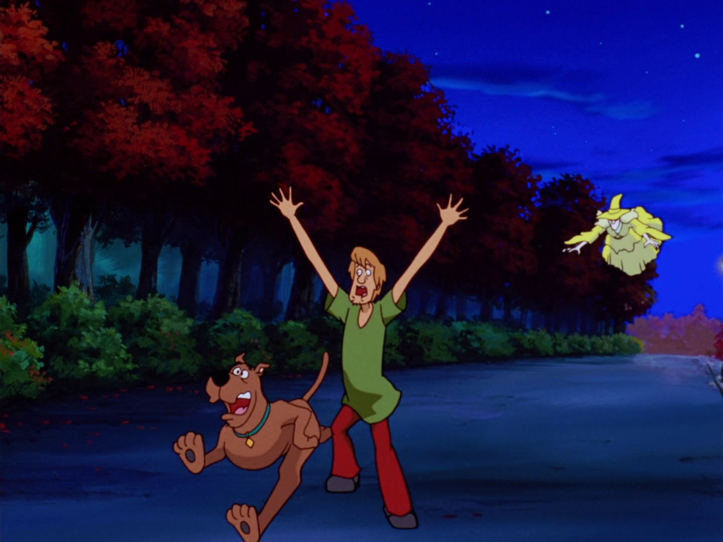 Join Shaggy and Scooby Doo for their next mystery-solving adventure!