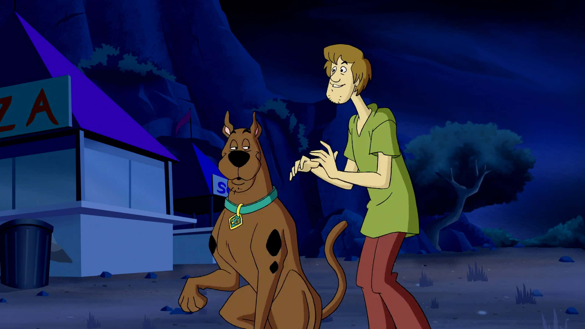 Scooby Doo And His Dog In The Cartoon