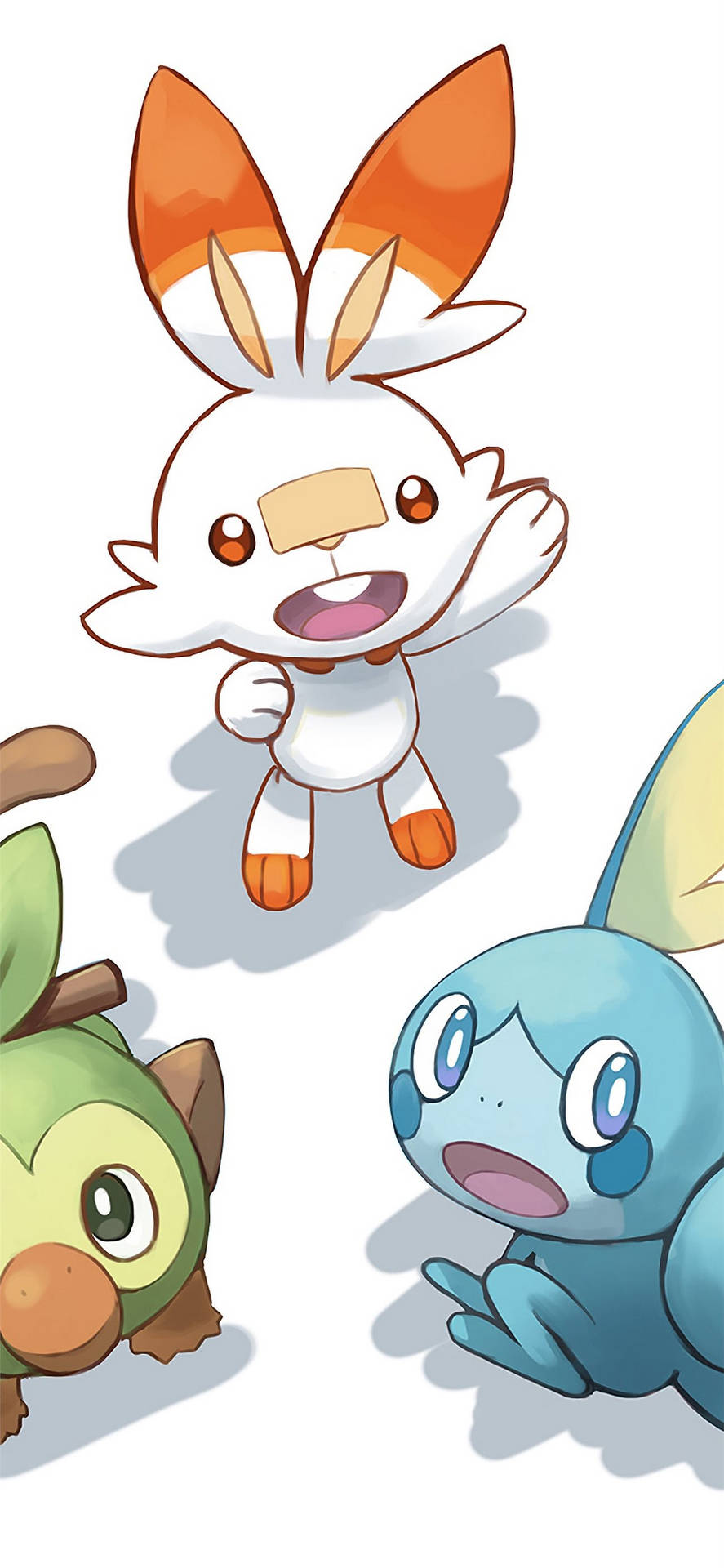 Scorbunny And Other Galar Starters Background