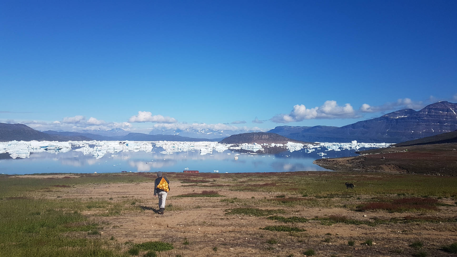 Scoresbysund Greenland Landscape