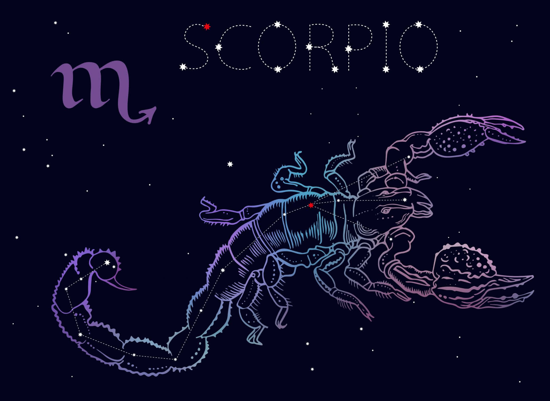 The Scorpio Constellation Illuminated in the Niite Sky