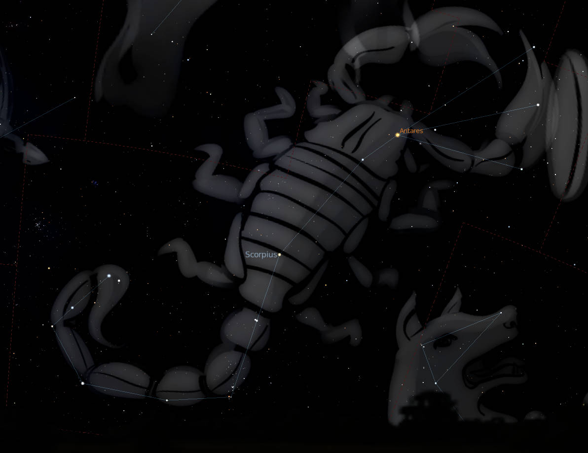 Scorpio And Other Constellations Wallpaper