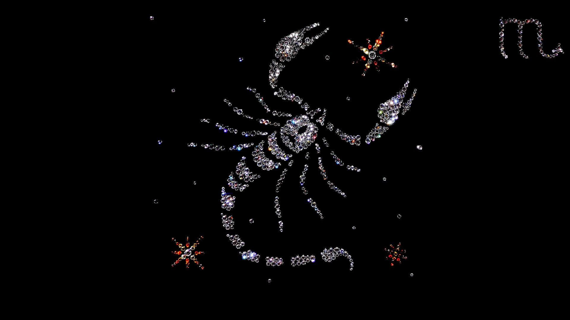 A Scorpion Is Shown On A Black Background Wallpaper