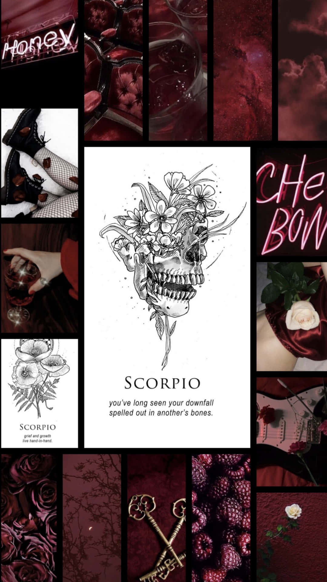 Scorpio Zodiac Collage Wallpaper
