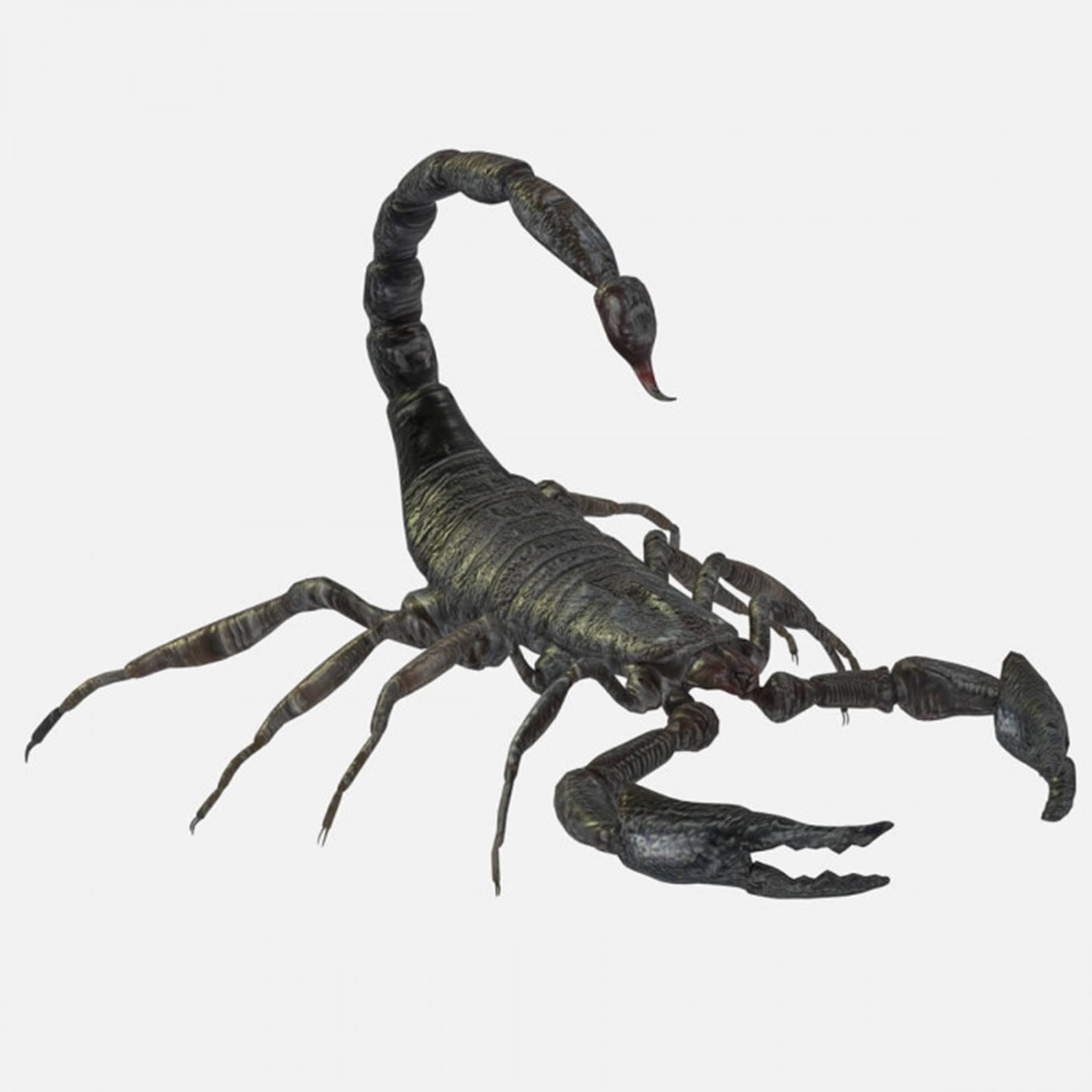 Scorpion 3D Render Hvid Returne til din mobil. Wallpaper