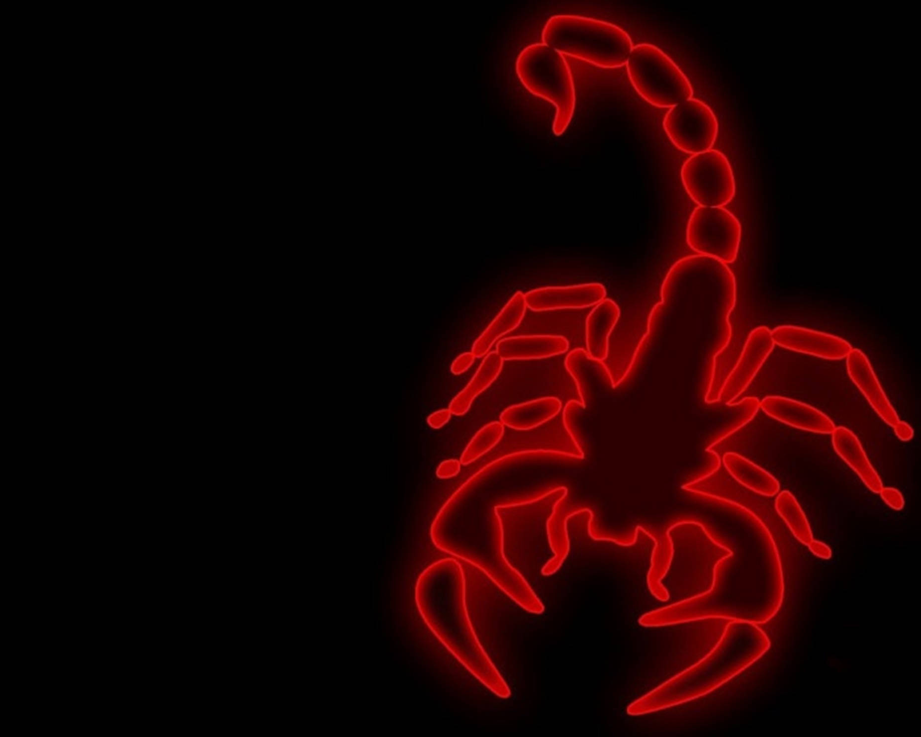 Skorpionkunst Rotes Neon Wallpaper