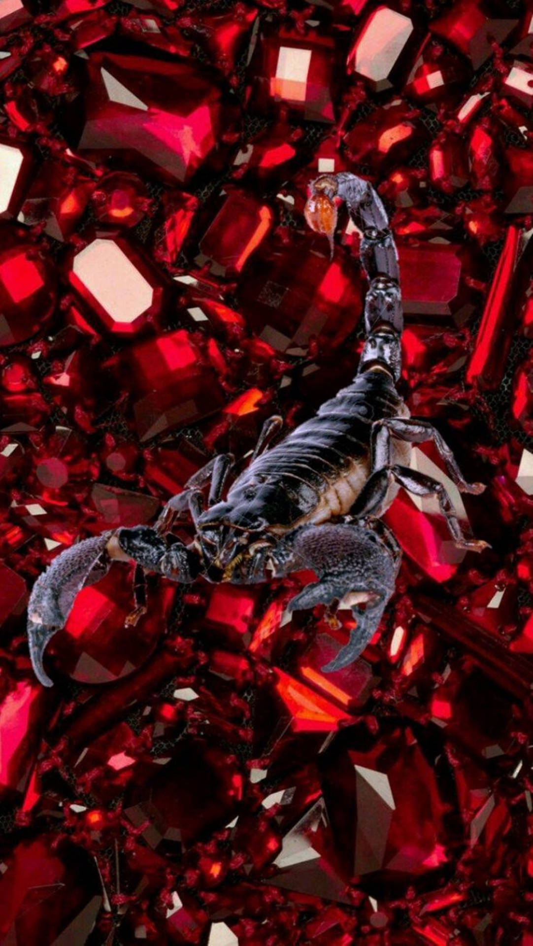 Skorpionschwarz Auf Rot, Ästhetische Juwelen Wallpaper