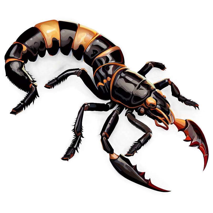 Scorpion In Nature Background Png 05242024 PNG