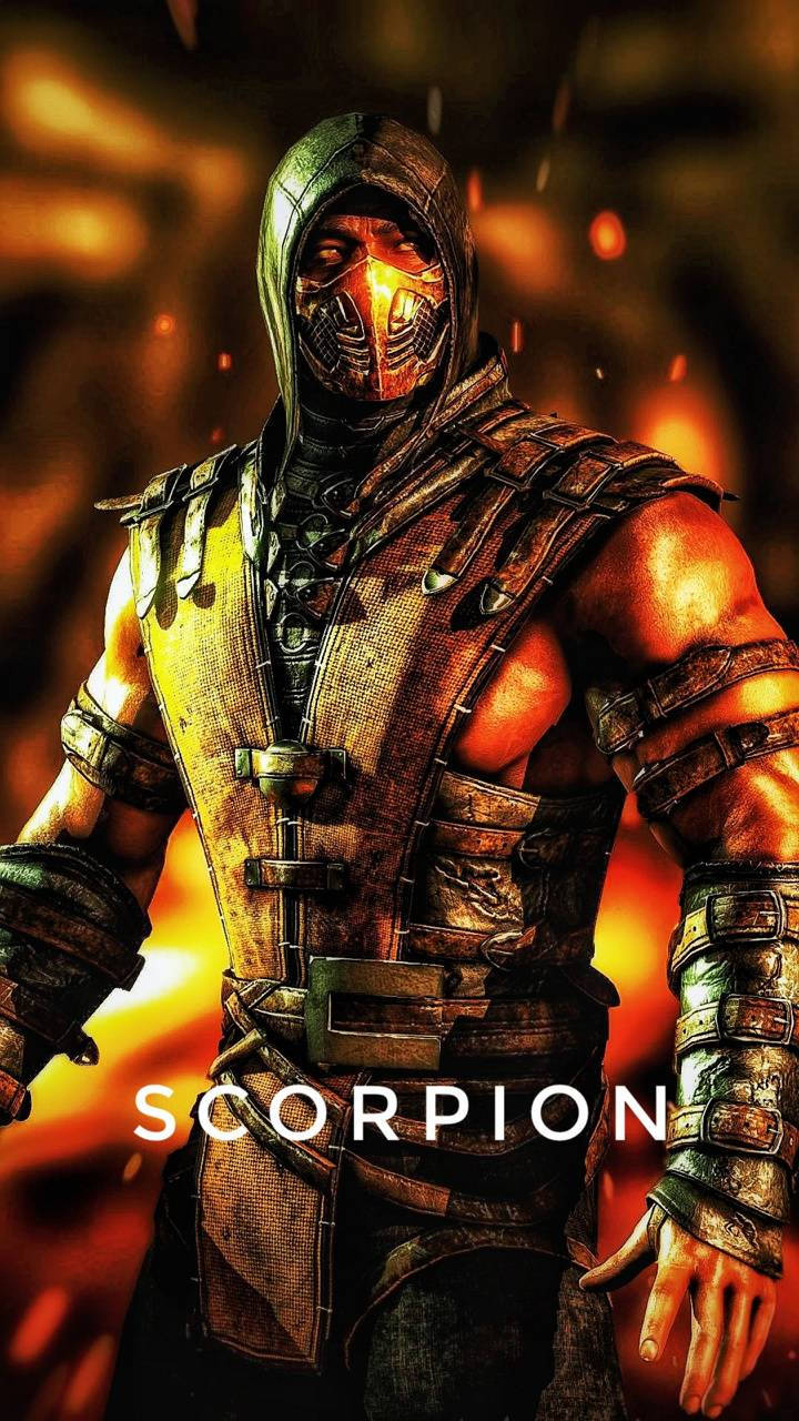 Scorpion On Fire Mk11 Poster Art