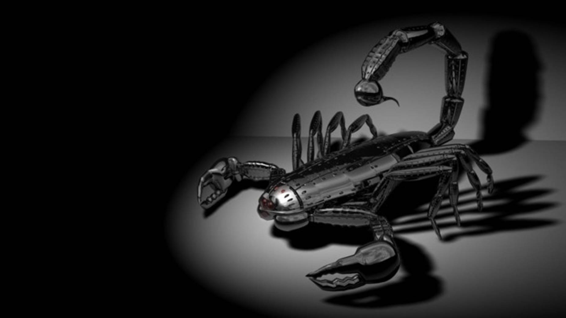 Scorpion Robot Black And White Wallpaper