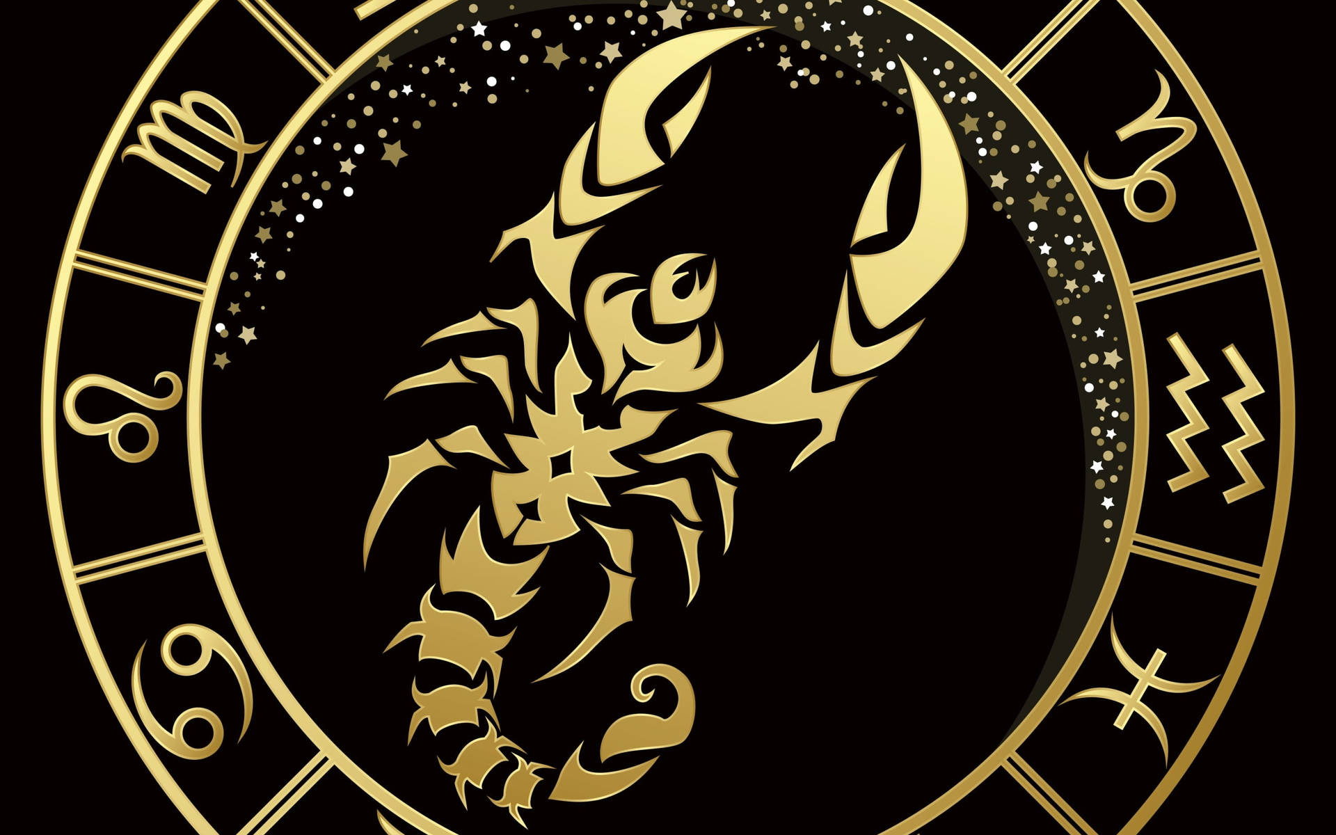 Zodiac Scorpion against a starry sky backdrop Wallpaper