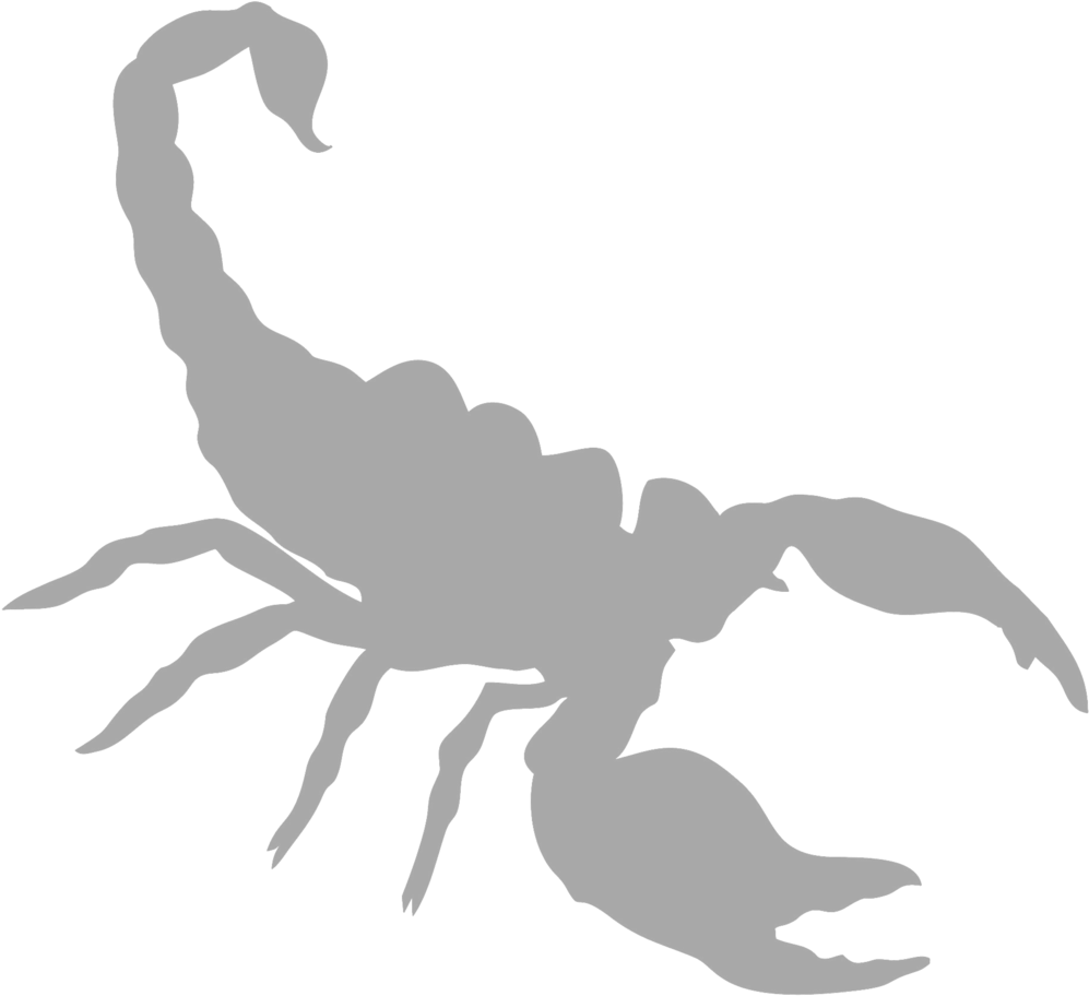 Scorpion Silhouette Graphic PNG