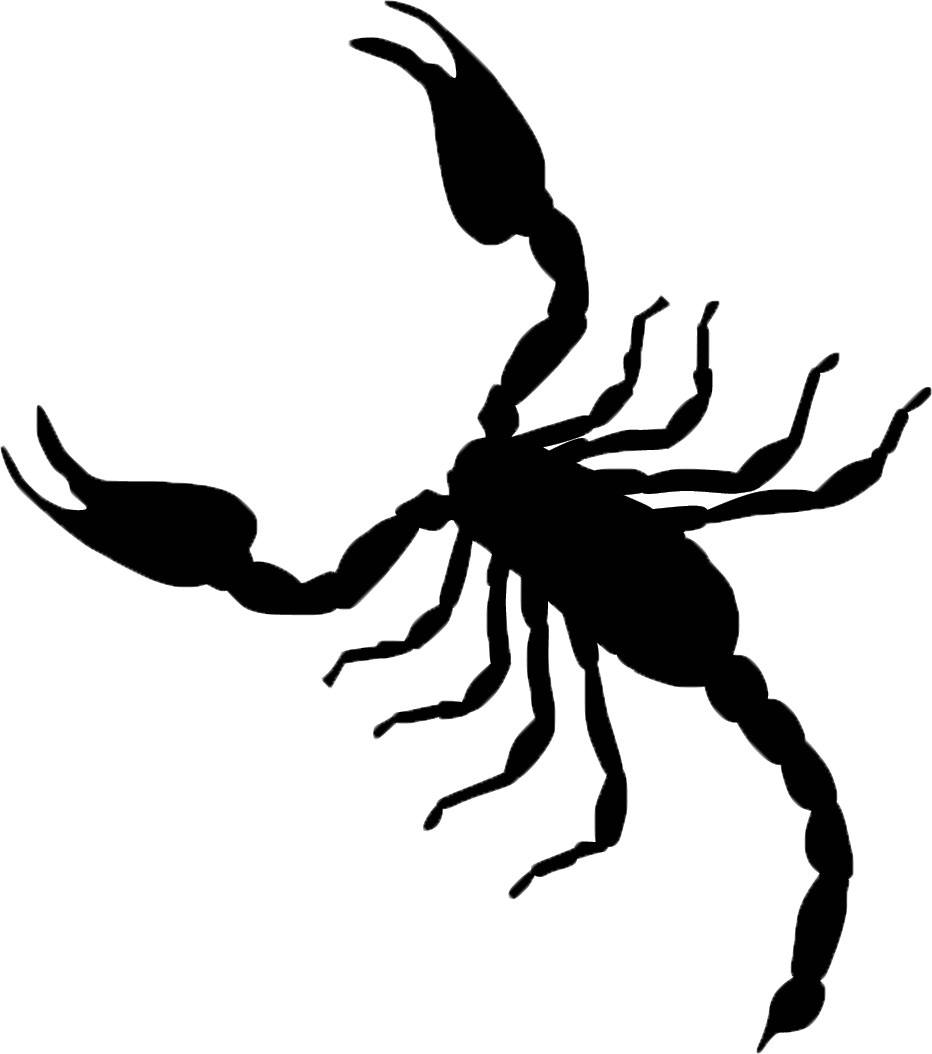 Scorpion Silhouette Graphic PNG