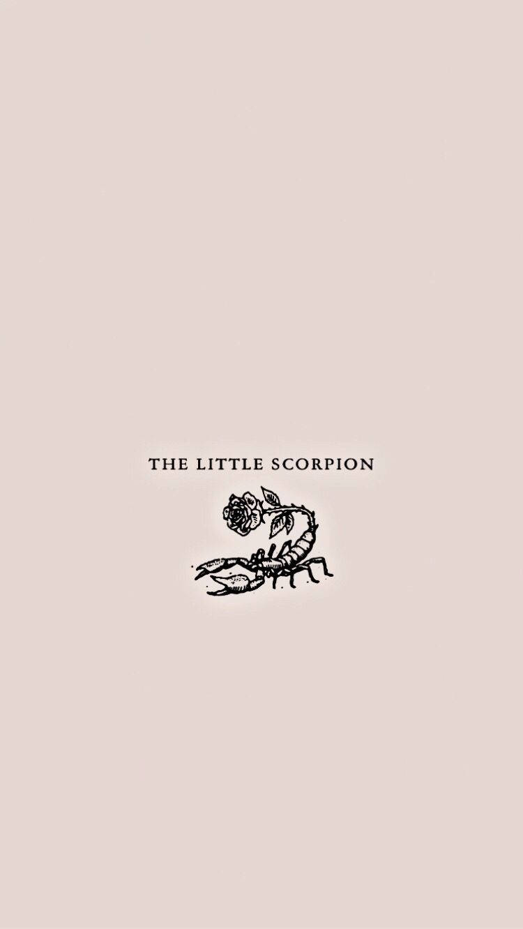 Scorpion The Little Scorpion Rose Background