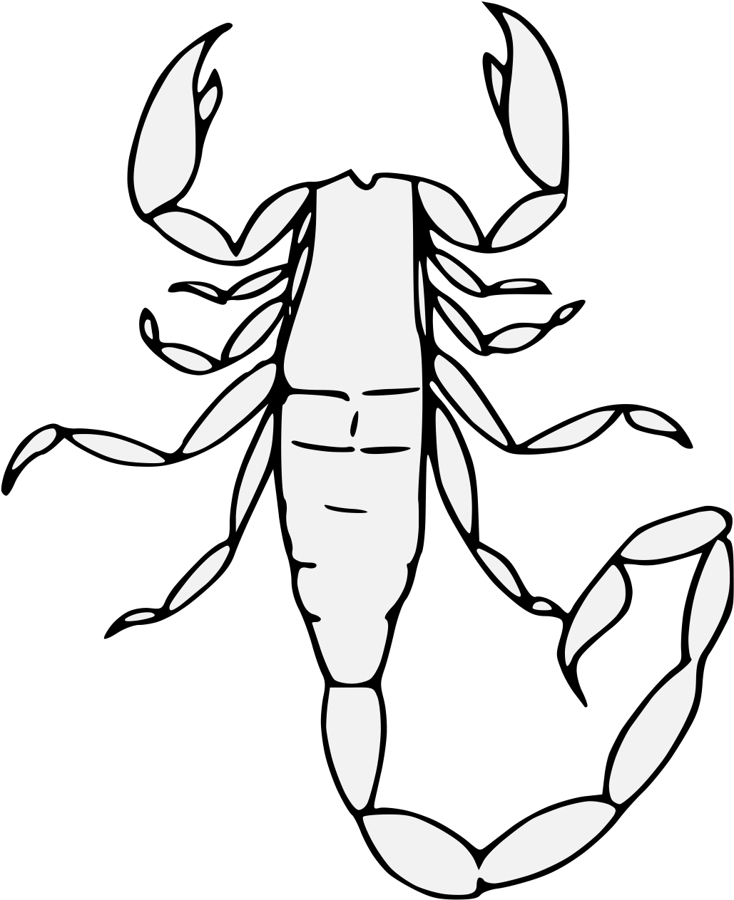 Scorpion_ Line_ Art_ Illustration.png PNG