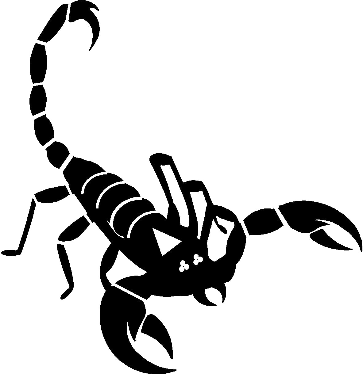 Scorpion_ Silhouette_ Vector PNG