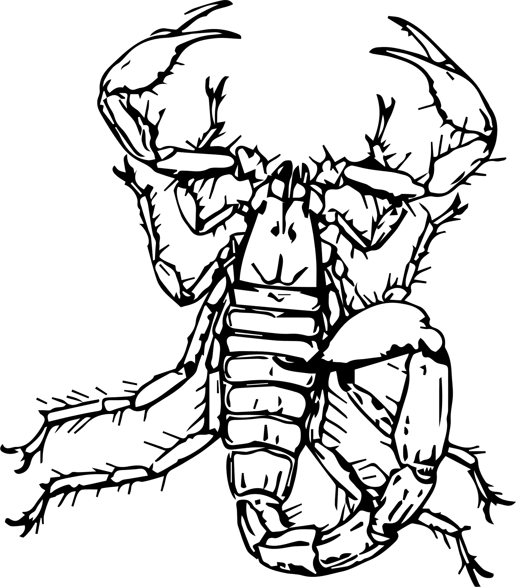 Scorpion_ Sketch_ Artwork PNG