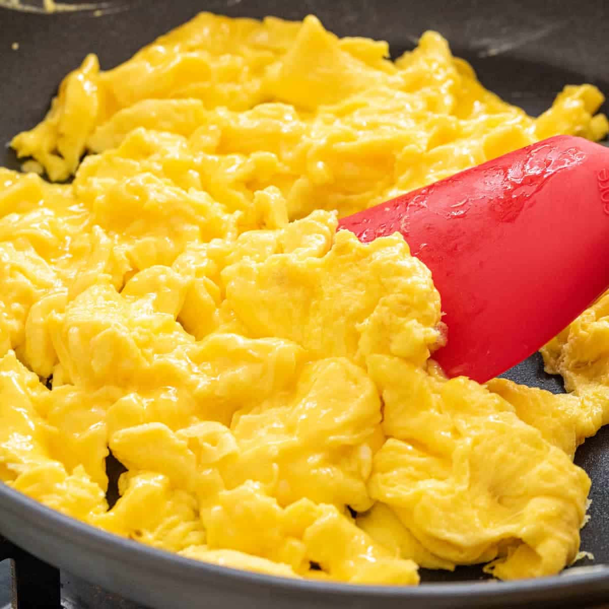 "Scrambled to Perfection"