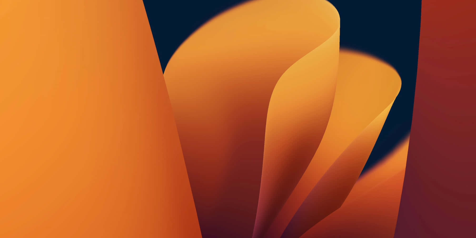 Bildschirmschonerbild Mit Orangefarbenem Blütenblatt