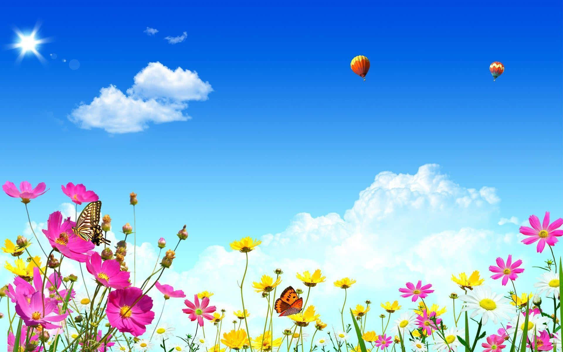 Flower Field Screen Saver Picture