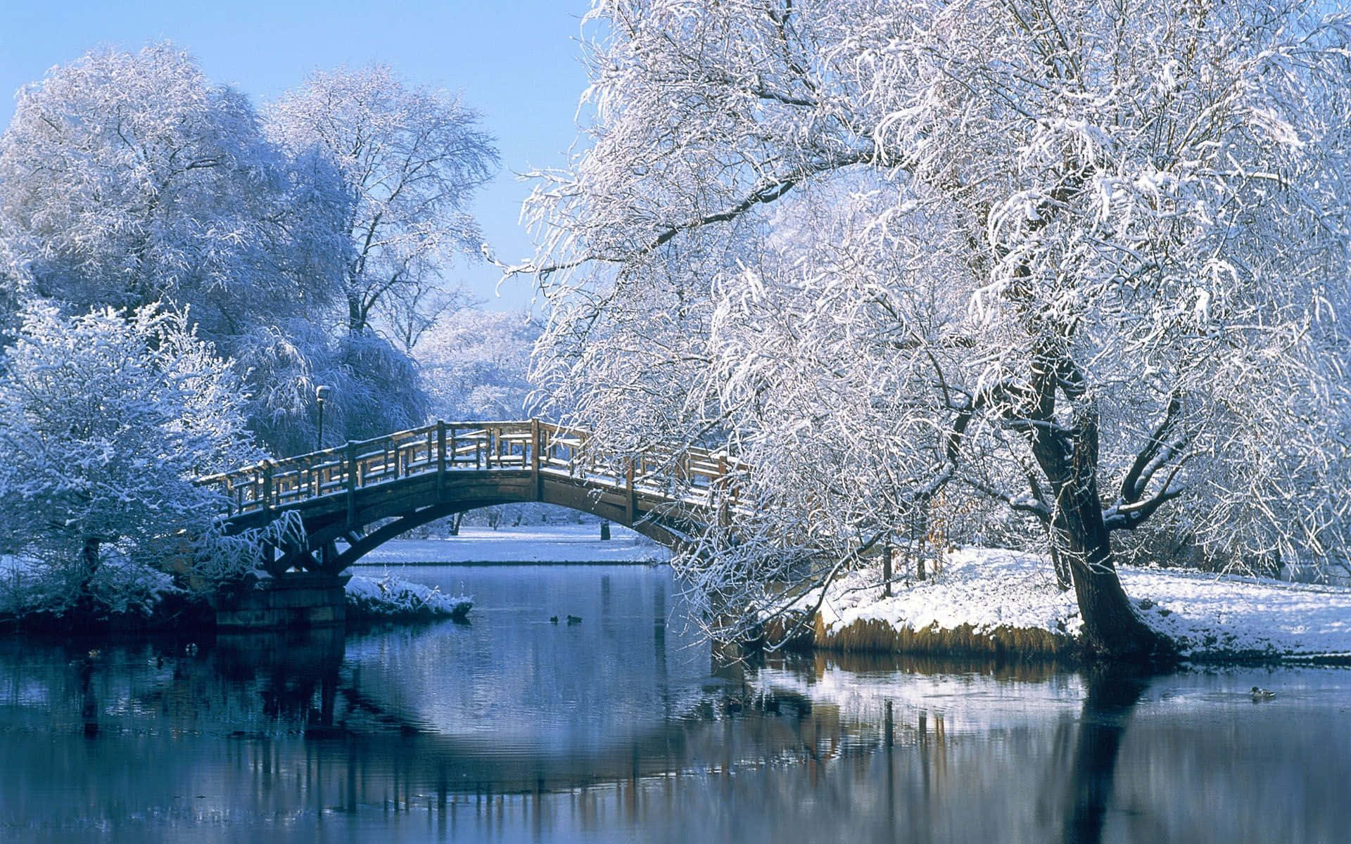 A Bridge Over A Frozen River
