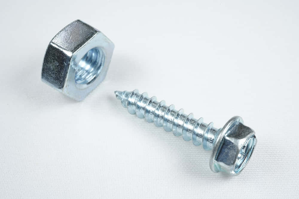 Shining Stainless Steel Screw Close-Up Photo