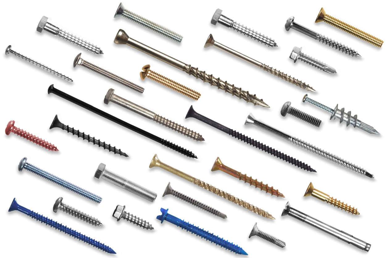 Different Types Sizes Screw Picture