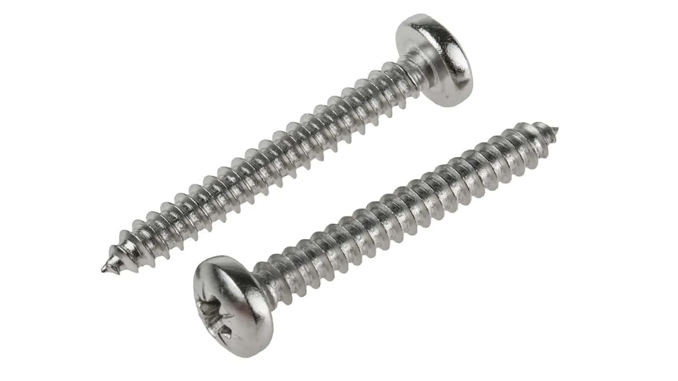 Screw Two Long Silver Picture