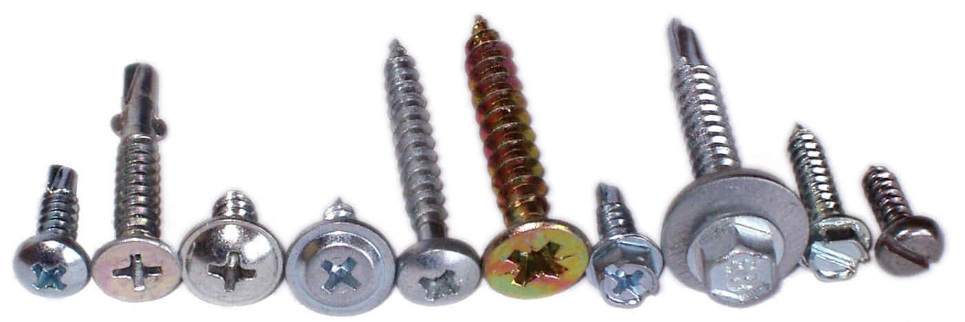 Different Sizes Types Screw Picture