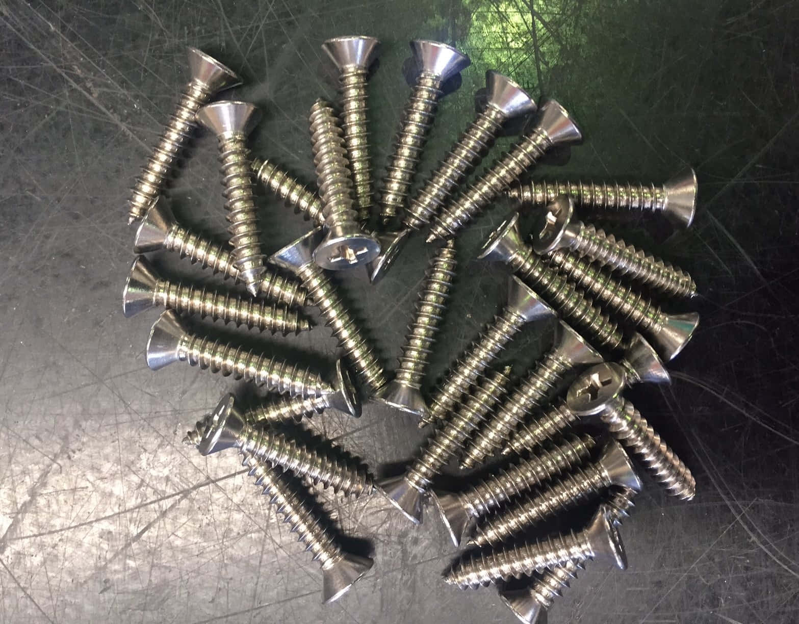 Close-up view of steel screws