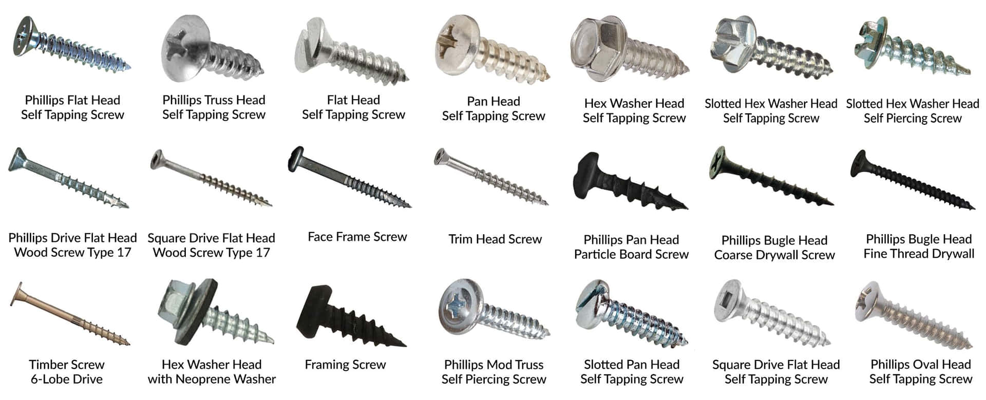 Screw Types Kinds Chart Picture