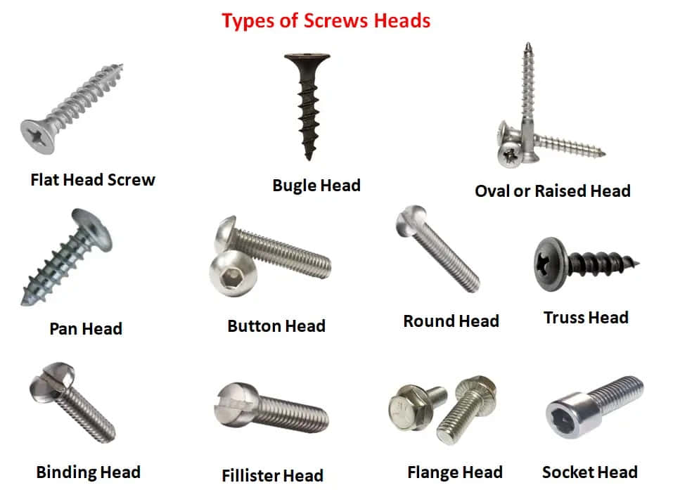 Close-Up View of a Metal Screw