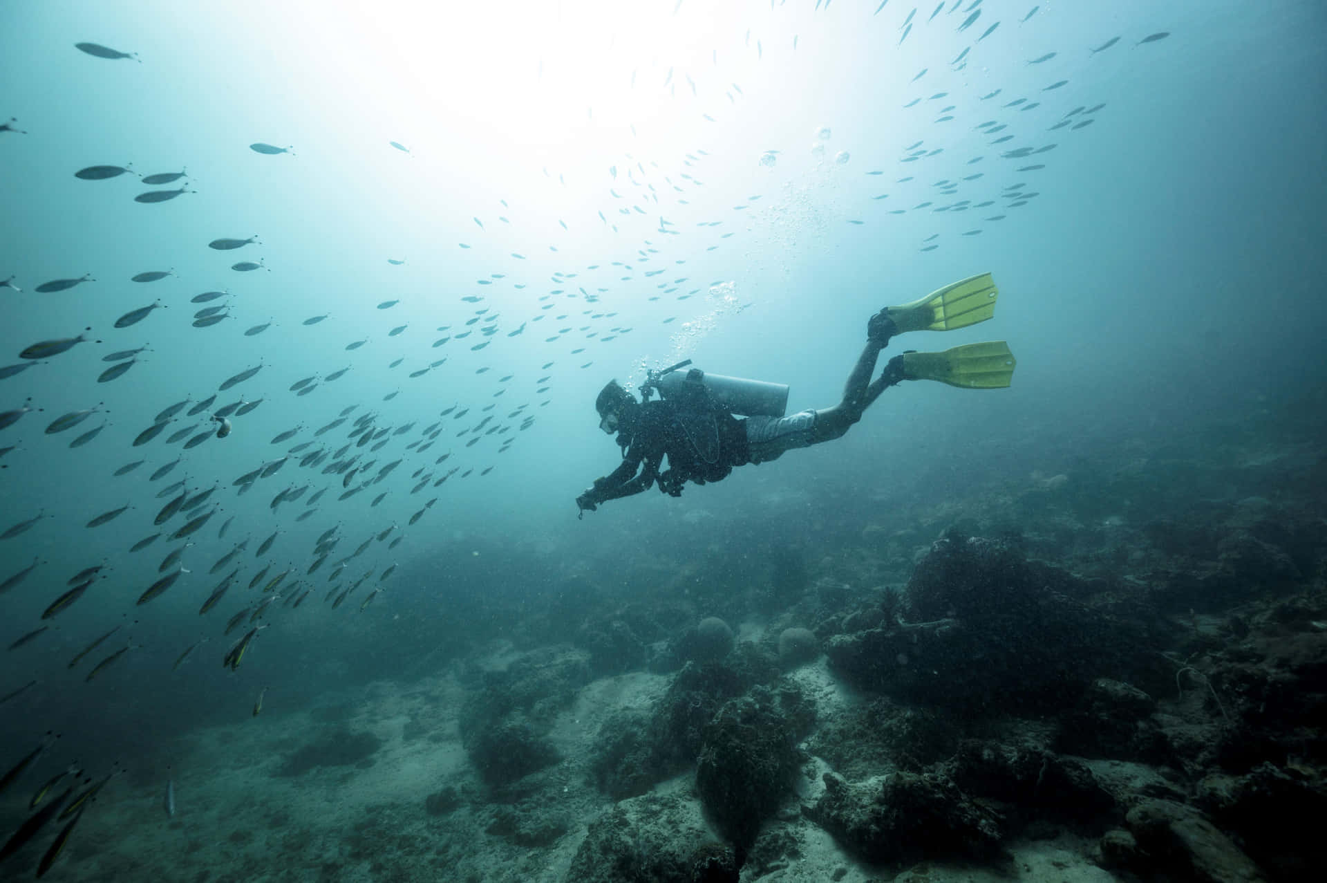 Scuba Duiker Onderwater Verkenning Achtergrond