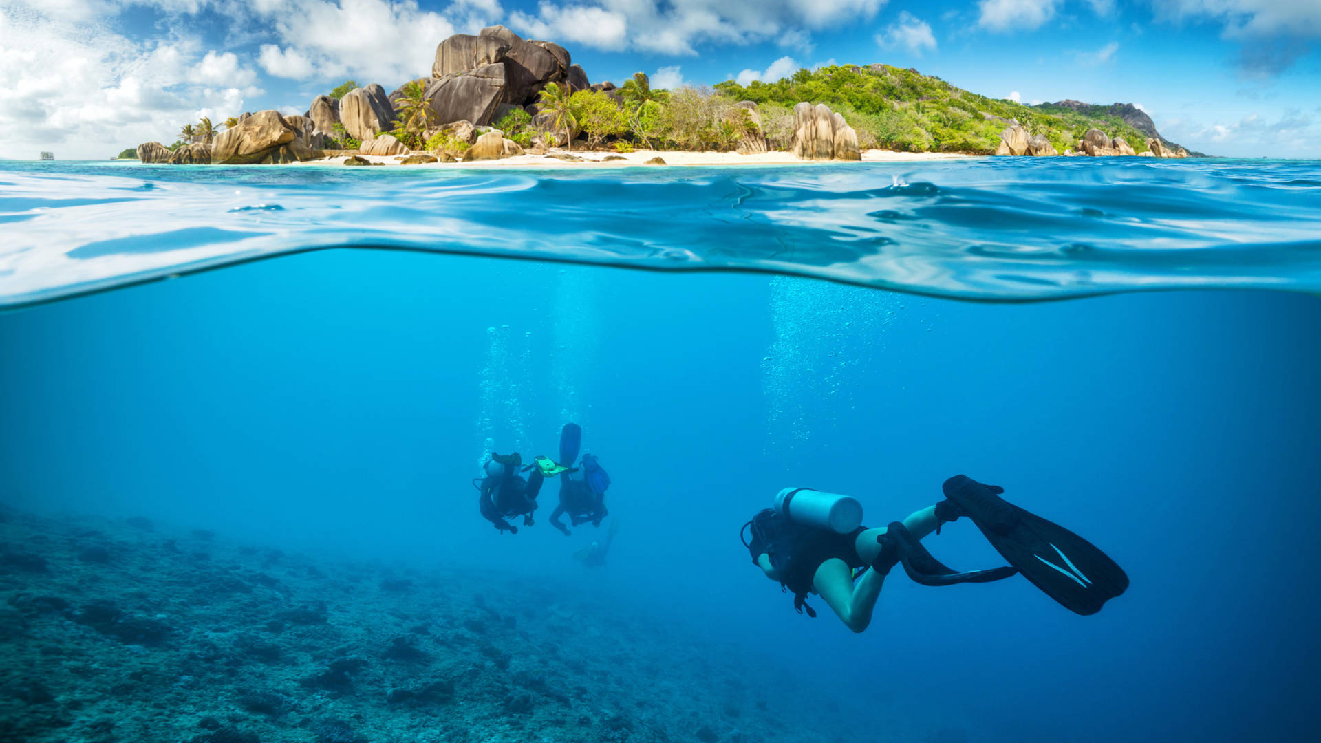 Scuba Divers Swimming Under The Sea Wallpaper