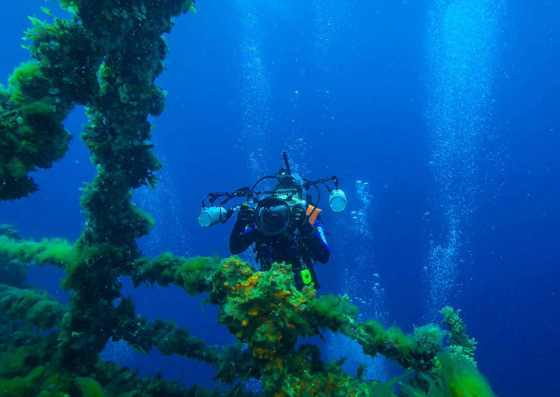 Unterwasserfotografievon Einem Mit Algen Bewachsenen Gesunkenen Schiff Beim Tauchen. Wallpaper