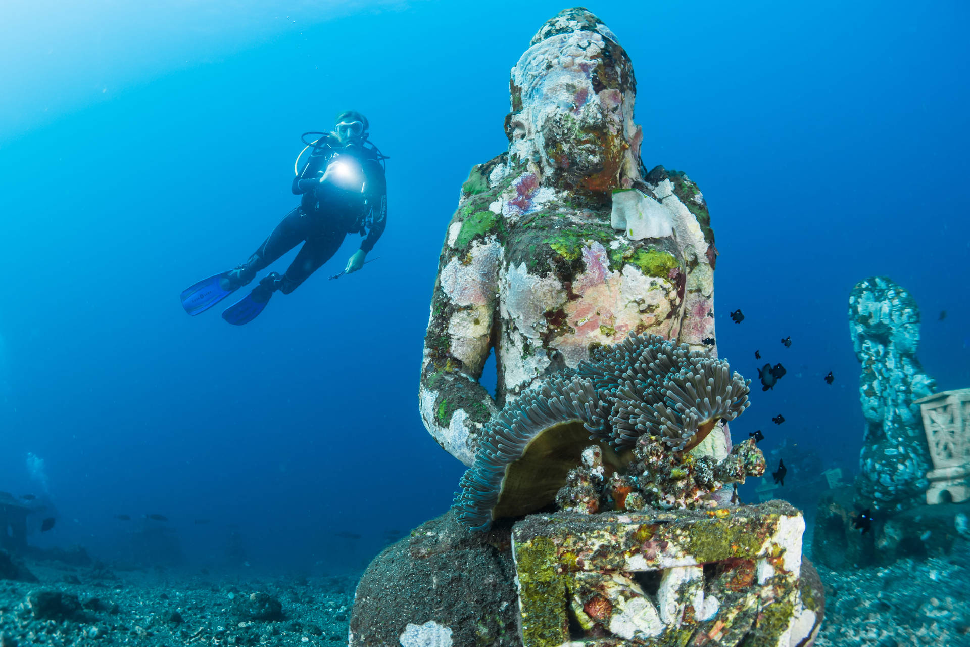 Scuba Diving Beside Sunken Statue Wallpaper