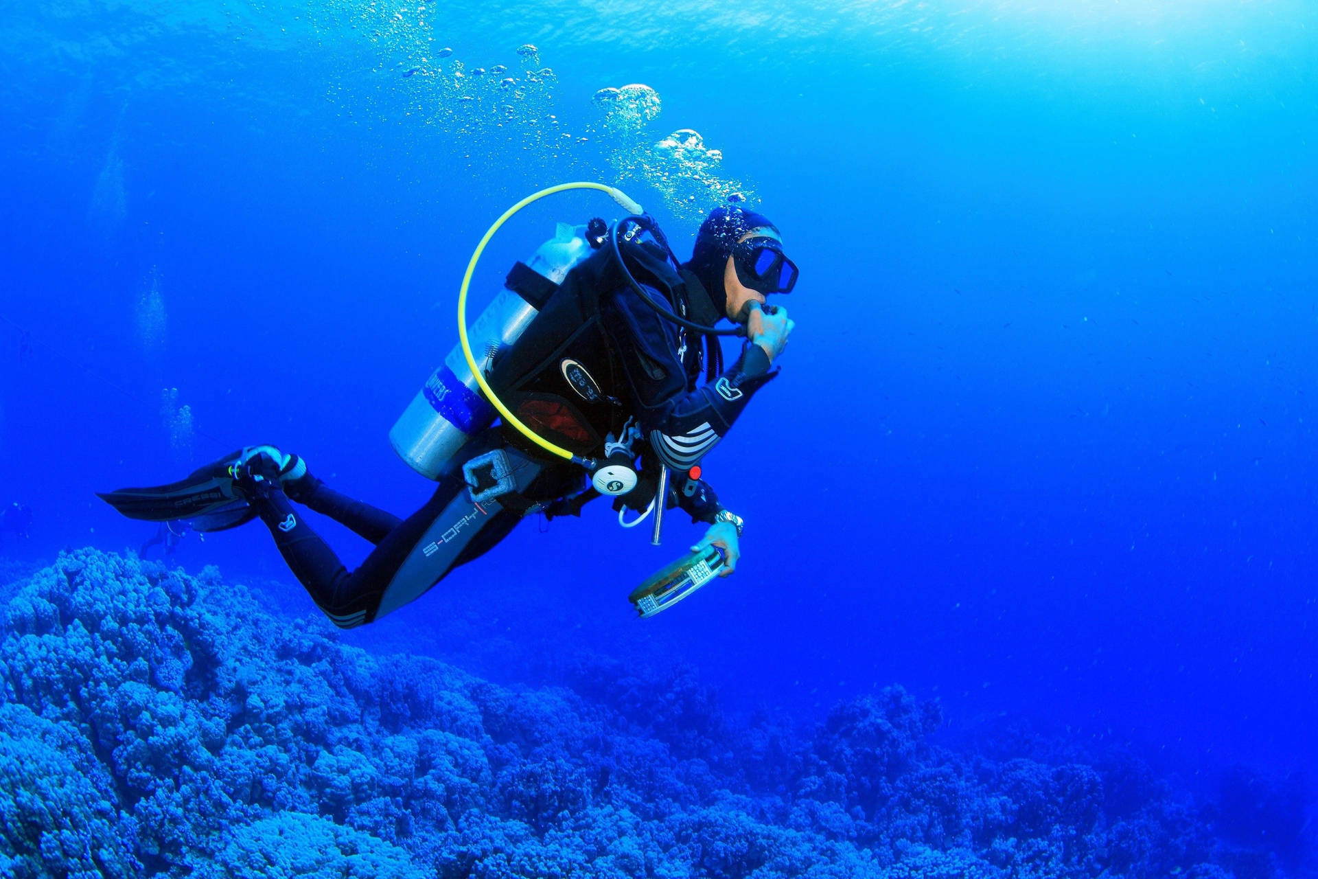 Scuba Diving Coral Reefs Wallpaper