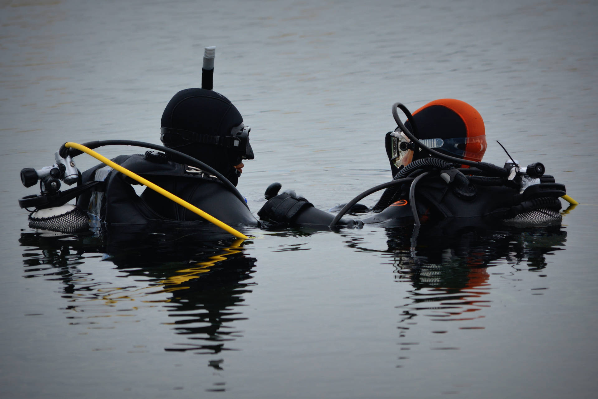 Scuba Diving Divers Conversazioni Sfondo