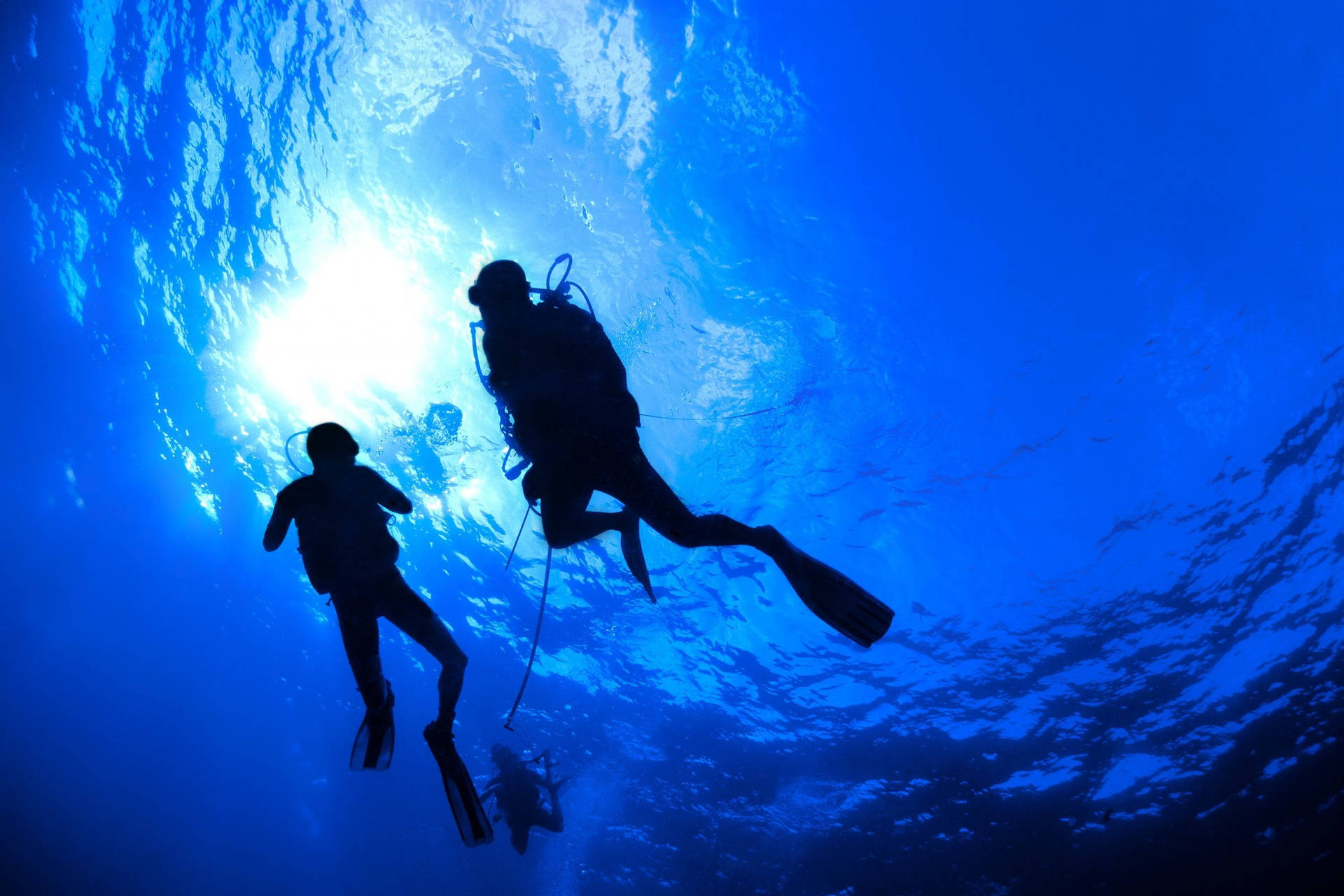 Scuba Diving Divers Silhouette Sfondo